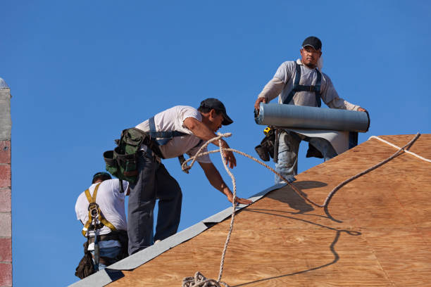 Best Roof Gutter Cleaning  in Hackettstown, NJ